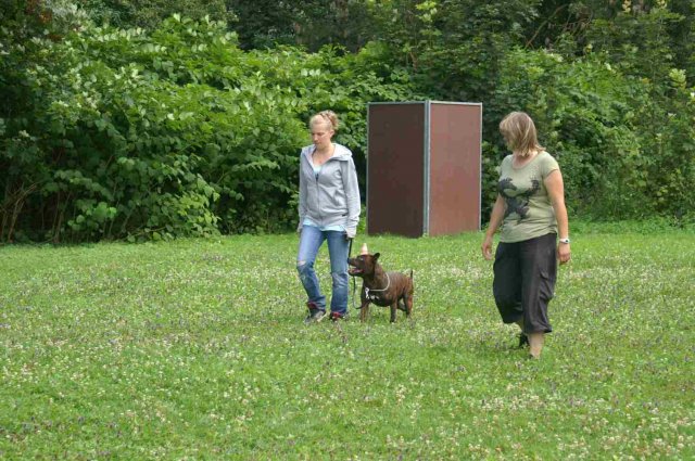 obeissance 2014-08-02